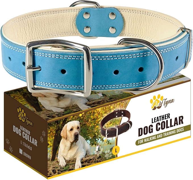 ADITYNA Heavy-Duty Leather Dog Collar for Large Dogs - Soft Padded for Comfort - Blue Dog Collar for Walking, Training, and Hiking