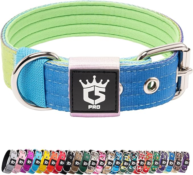 TSPRO Tactical Dog Collar 1.25 Inch Wide Thick Dog Collars with Heavy Duty Metal Buckle, Durable, Strong, Adjustable for Small Dogs (Rainbow S)