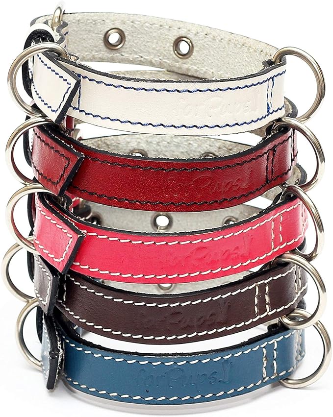 Premium Leather Collars with Stainless Steel Buckles (12"-15", White)