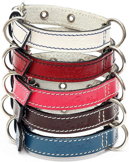 Premium Leather Collars with Stainless Steel Buckles (12"-15", White)