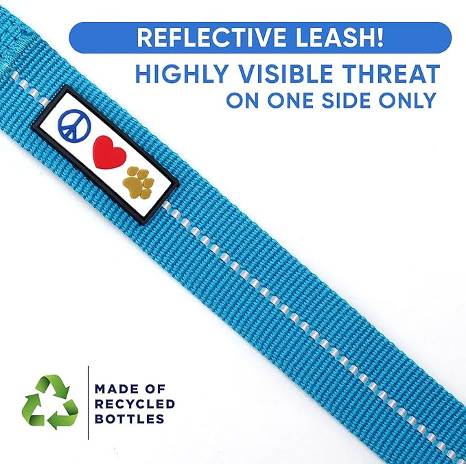 Pawtitas Teal Dog Leash 6 ft M/L Reflective Durable Lightweight Recycled Lead for Medium or Large Dogs and Puppies
