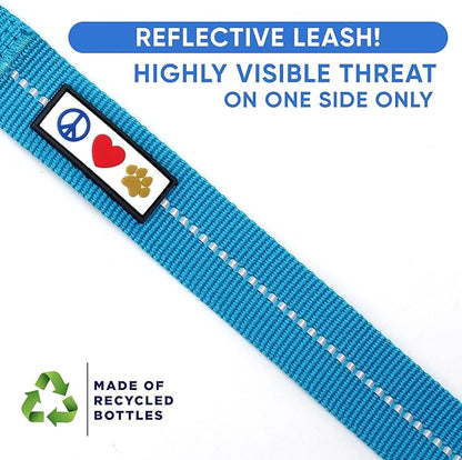 Pawtitas Teal Dog Leash 6 ft M/L Reflective Durable Lightweight Recycled Lead for Medium or Large Dogs and Puppies