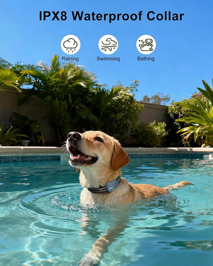 Jugbow Dog Shock Collar - 4500FT Dog Training Collar with Remote, IPX8 Waterproof Electric Dog Collar with 4 Training Modes, Security Lock, Rechargeable eCollar for 10-120lbs Dogs(DBU)