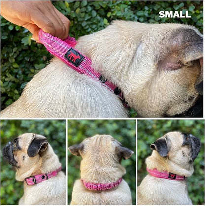 Tuff Pupper Heavy Duty Dog Collar with Handle | Ballistic Nylon Heavy Duty Collar | Padded Reflective Dog Collar with Adjustable Stainless Steel Hardware | Convenient Sizing for All Breeds