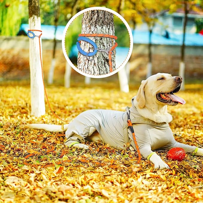 NTR 30FT Puppy Leash, Nylon Rope Long Dog Leash with 2 Swivel Hooks and Comfortable Padded Handle, Dog Line Tether for Small Medium Large Dogs Training, Playing, Camping, or Backyard