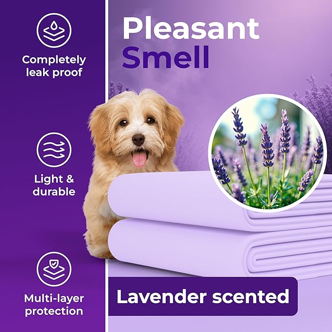 GREEN LIFESTYLE Pee Pads - Super Absorbent & Leak-Proof Pee Pads for Dogs - Puppy Pads - Waterproof Dog Pads, Lavender Scented Dog Training Pads for Cats, Rabbits (Pack of 80 - 22x22)