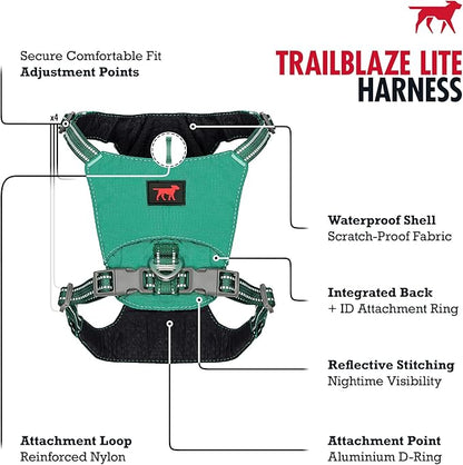 Tuff Pupper All-Day Wear Dog Harness | for Walking, Trail Running, Hiking | Front & Back Leash Clips | Reflective Trim | Easy On/Off Buckles | Lightweight Breathable | No Pull Design (XXS, Teal)