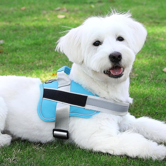 Bolux Dog Harness, No-Pull Reflective Dog Vest, Breathable Adjustable Pet Harness with Handle for Outdoor Walking - No More Pulling, Tugging or Choking (OceanicBlue, X-Small (Pack of 1))