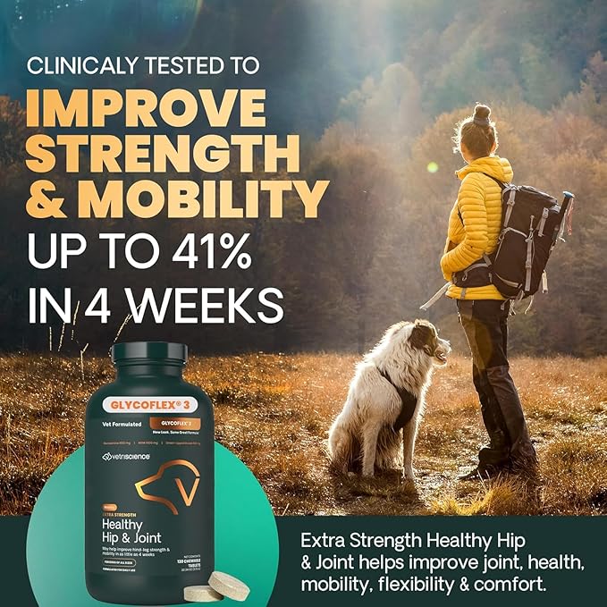 VetriScience Glycoflex 3 Clinically Proven Hip and Joint Supplement for Dogs - Maximum Strength Dog Supplement with Glucosamine, MSM, Green Lipped Mussel & DMG - 2 Pack (120 Chewable Tablets Each)
