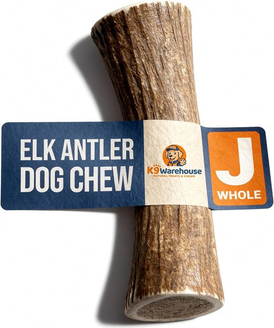 K9warehouse Natural Elk Antlers for Dogs - Premium Grade Dog Antler Chews - Long-Lasting Whole Deer Antles Ideal for Aggressive Chewers - Safe USA Sourced Chew for Medium and Large Dogs - 1 Pack