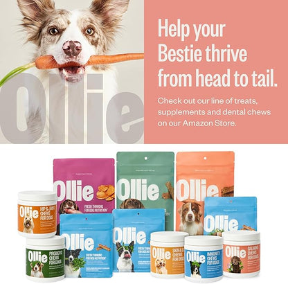 Ollie Beef & Sweet Potato Jerky Treats, 15 oz - All Natural Dog Treats Ingredients, Meat-First Recipe, No Preservatives or Fillers