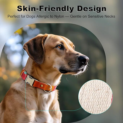 Plutus Pet Genuine Leather & Hemp Dog Collar – Adjustable Heavy Duty Pet Collar with Quick Release Metal Buckle, Soft & Stylish for Puppy and Small, Medium, Large Dogs (Red, XS)