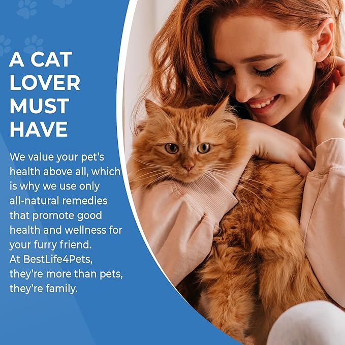 Cat Joint Supplement and Mobility Support - Natural Plant-Based Formula Provides Comfort for Aging and Felines with Mobility Challenges, 400 Tiny Tasteless Pills Easy to Give Even Feral or Picky Cats