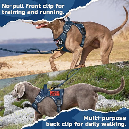 rabbitgoo Tactical Dog Harness for Large Dogs, No Pull Military Service Vest with Handle & Molle, Easy Control for Training Walking, Adjustable Reflective Straps, Blue, XL
