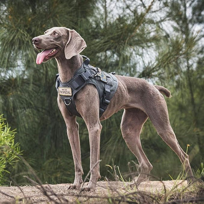 OneTigris Tactical Dog Harness Vest,Adjustable Dog Harness for Large Dogs,No-Pull Service Dog Vest with Hook & Loop Panels(Grey,X-Large)