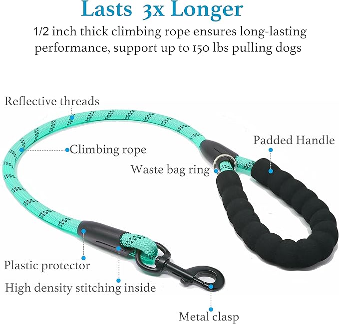 iYoShop Dual Dog Leash - 360° Swivel, No Tangle Walking Leash with Shock Absorbing Bungee for Two Dogs (Large, 25-150 lbs, Teal)