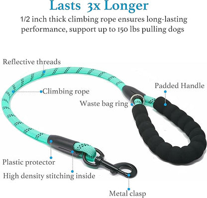 iYoShop Dual Dog Leash - 360° Swivel, No Tangle Walking Leash with Shock Absorbing Bungee for Two Dogs (Large, 25-150 lbs, Teal)