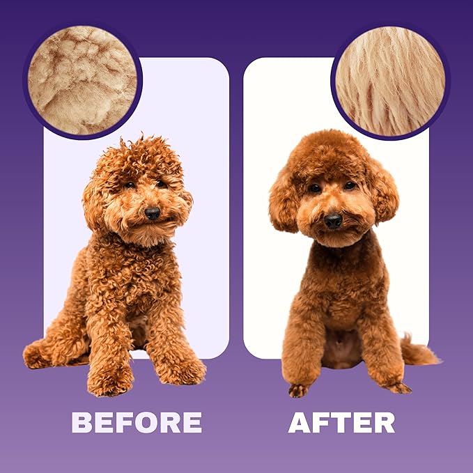 Dog Shampoo and Conditioner for Doodle - All Natural Dog Shampoo for Smelly Dogs, Sensitive Skin Pet Shampoo for Dogs, Goldendoodle, Doodles, Poodle, Puppy Shampoo and Conditioner - Dog Soap