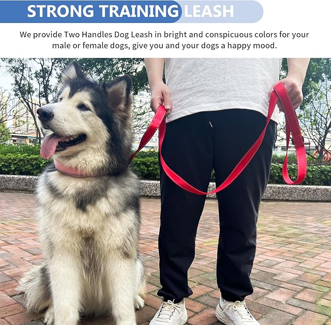Strong Heavy Duty Dog Leash - 6ft Reflective Nylon Training Leash with Soft Padded Double Handle & Auto Lock Frog Clip - Safety Traffic Control for Large Medium Small Dogs No Pull Walking (Red,6ft)
