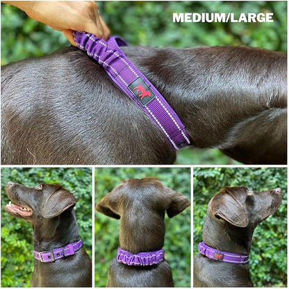 Heavy Duty Dog Collar with Handle | Ballistic Nylon Heavy Duty Collar | Padded Reflective Dog Collar with Adjustable Stainless Steel Hardware | Convenient Sizing for All Breeds