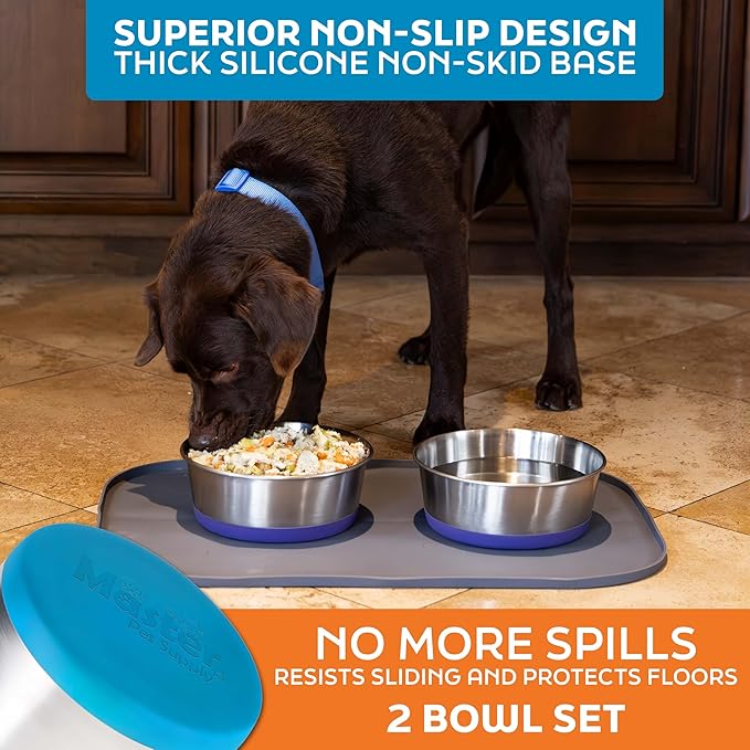 Master Pet Supply Stainless Steel Dog Bowls Set of 2 with Extra Thick Silicone Base - 8 Cup (64 oz) True Blue, Non-Slip, Dishwasher Safe Metal Bowls, Pet Dog Food Bowl for Dogs, Cats, Anti Rust