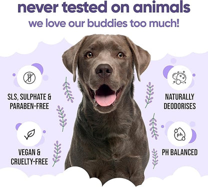 Calming & Deodorising Dog Shampoo by Buddycare | Lavender Scented | with Aloe Vera and Pro Vitamin B5 (50.72oz)