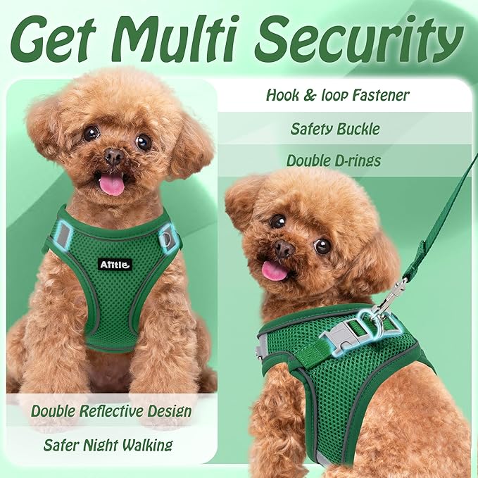 AIITLE No Pull Dog Harness and Leash Set, Step in Adjustable Dog Harness with Padded Vest for All Weather, Dog Leash with Soft Padded Handle, Easy to Put on Small and Medium Dogs Green S
