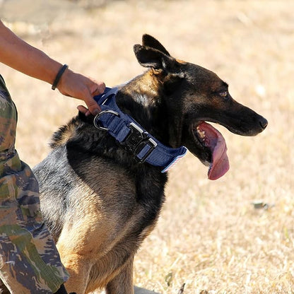 Tactical Military Collar - Adjustable Nylon, Heavy Duty Metal Buckle with Handle for Dog Training, with Patches (Blue, XL)