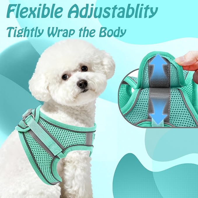 AIITLE No Pull Dog Harness and Leash Set, Step in Adjustable Dog Harness with Padded Vest for All Weather, Dog Leash with Soft Padded Handle, Easy to Put on Small and Medium Dogs Pure Turquoise S