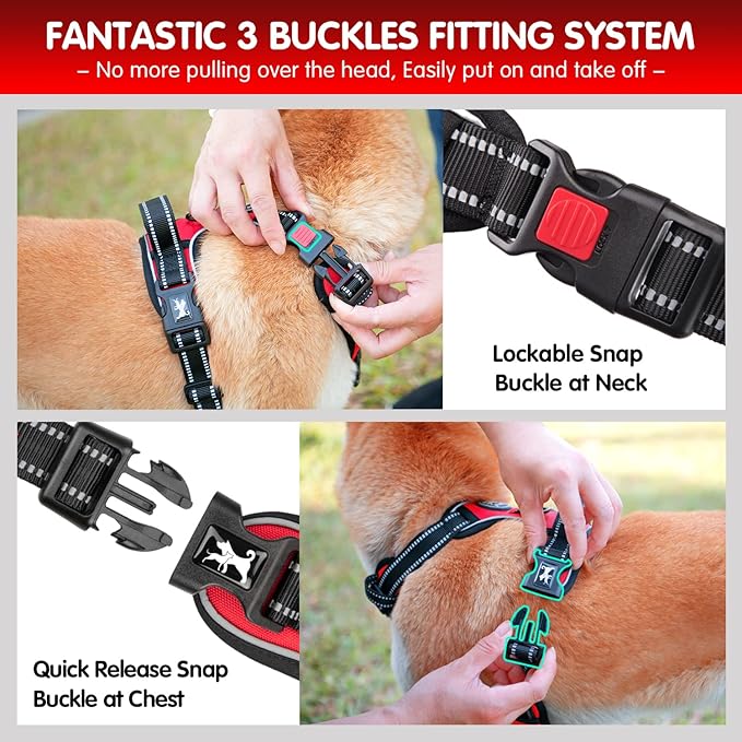 PoyPet Dog Harness and Leash Combo, Escape Proof No Pull Vest Harness, with 5 Feet Leash, Reflective Adjustable Soft Padded Pet Harness with Handle for Small to Large Dogs(Red,M)