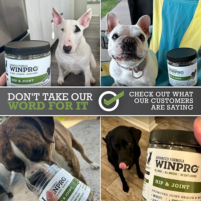 WINPRO Hip & Joint Supplement for Dogs - Plasma Powered Soft Chews for Joint Health & Mobility – Fast-Acting with Collagen & Natural Ingredients for Dogs of All Breeds – 60 Chews