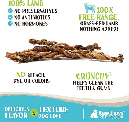 Raw Paws Lamb Pizzle Twists for Dogs, 5-9-Inch (10-Count) - USA Packed Natural Lamb Pizzle Sticks - Free-Range, Digestible Alternative Bully Sticks - Grain-Free Twist Dog Chew - Single Ingredient