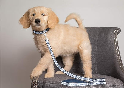 Pets First NFL Pets NFL