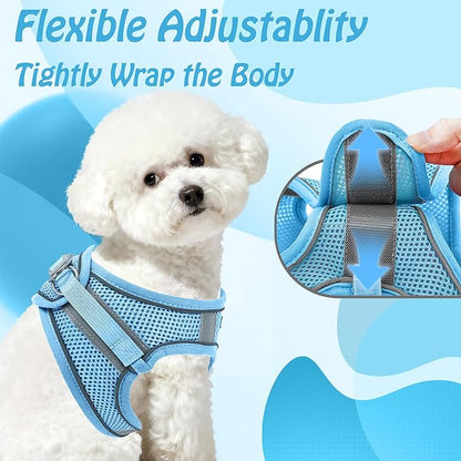 AIITLE No Pull Dog Harness and Leash Set, Step in Adjustable Dog Harness with Padded Vest for All Weather, Dog Leash with Soft Padded Handle, Easy to Put on Small and Medium Dogs Pure Blue S