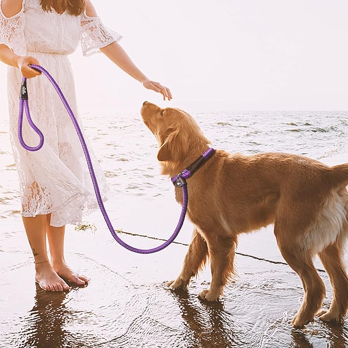 TwoEar 6FT Slip Lead Dog Leash, Heavy Duty Slip Leash for Dogs with Highly Reflective, Strong Rope Slip Leads No Pull Pet Training Leashes for Small Dogs (3/8", Purple)