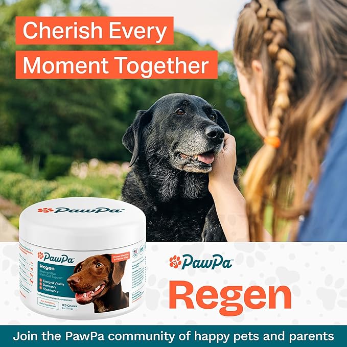 PawPa Regen, 120 Chews Veterinarian Recommended Regenerative Stem Cell Supplement for Senior Dogs, Supports Mobility, Appearance, Alertness, Hip & Joint, Delicious Beef Flavor Chews