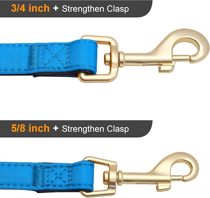 Didog 5FT Colorful Nylon Dog Leash with Soft Full-Length Padding, Lightweight and Durable Pet Leash for Small Dogs, Blue, S