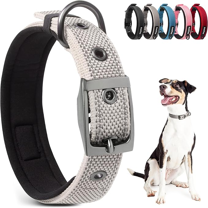 PetiFine Dog Collars for Small Dogs, Neoprene Padded Dog Collar, Reflective Heavy Duty Pet Collars with Durable Metal Belt Buckle for Walking, Grey, S