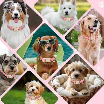 Valentines Dog Collar with Heart Bow Pattern, Adjustable Medium Dog Collar with Safety Buckle & Heart Charm, Spring Summer for Girl Boy Dogs-M