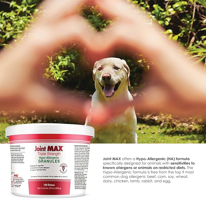 Joint MAX Triple Strength HA Granules for Dogs, Glucosamine, Chondroitin, Creatine, MSM and Antioxidants - Hip and Joint Support Supplement, 120 Doses