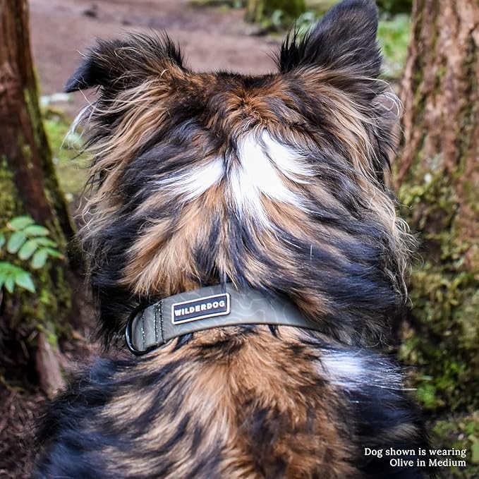 Wilderdog Waterproof Dog Collar – Repels Water & Dirt – Small 11"-15" – Olive