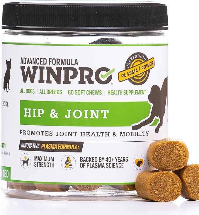 WINPRO Hip & Joint Supplement for Dogs - Plasma Powered Soft Chews for Joint Health & Mobility – Fast-Acting with Collagen & Natural Ingredients for Dogs of All Breeds – 60 Chews