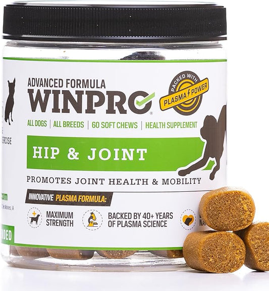 WINPRO Hip & Joint Supplement for Dogs - Plasma Powered Soft Chews for Joint Health & Mobility – Fast-Acting with Collagen & Natural Ingredients for Dogs of All Breeds – 60 Chews