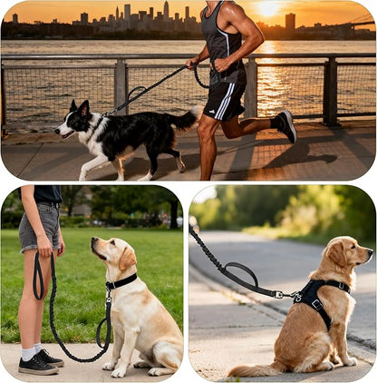 FOVRLZSE Reflective Heavy Duty Bungee Dog Leash - 4FT to 5FT Adjustable Shock Absorbing Leash with Double Padded Handle & 360° No Tangle Metal Clasp for Small Medium Large Dogs (Black)