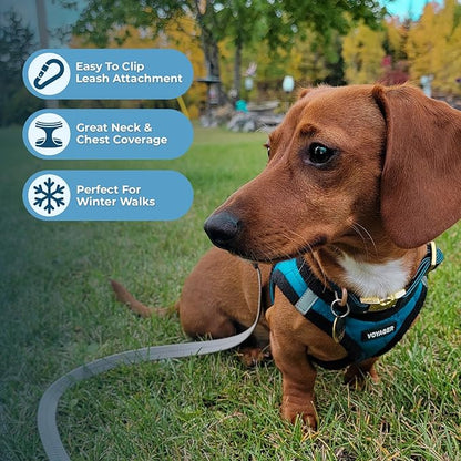 Best Pet Supplies - All Weather Plush, Reflective, No Pull Harness for Small, Medium Dogs, Cats - Secure with Hook & Loop Fastener, Buckle, Double D-Rings - Turquoise Plush, XL