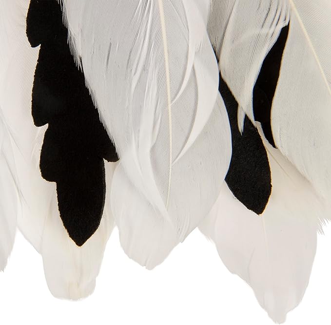 Instincts by SmartyKat HappyNip Zingy Zebra Feathered Toss & Chase Interactive Cat Toy, Contains Catnip & Silvervine - White/Black, One Size