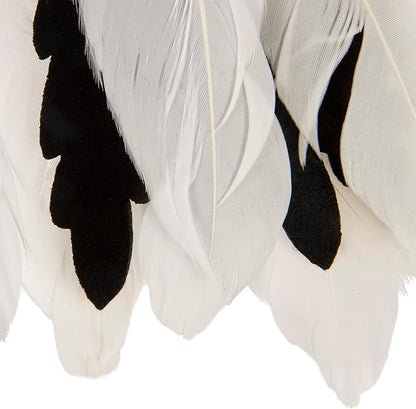 Instincts by SmartyKat HappyNip Zingy Zebra Feathered Toss & Chase Interactive Cat Toy, Contains Catnip & Silvervine - White/Black, One Size
