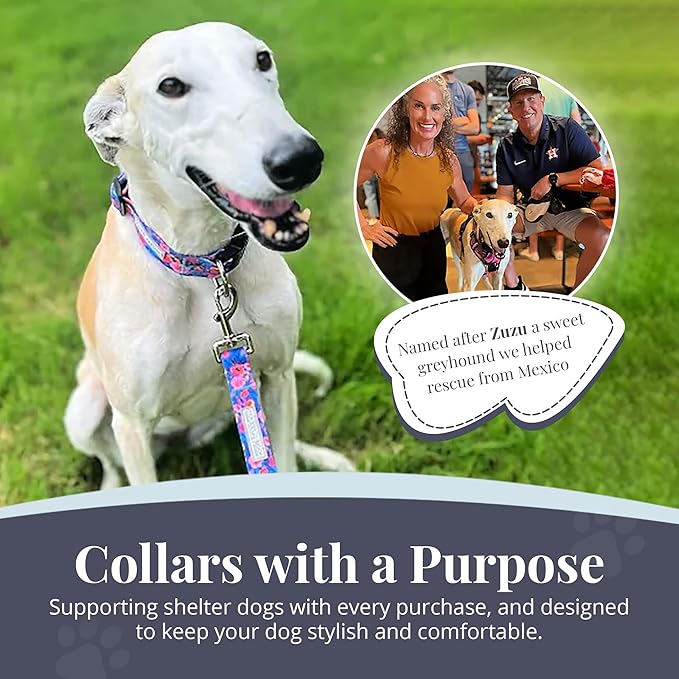 Lucky Love Dog - Adjustable Dog Collar and Leash Set with Easy Click Buckle for Small Dogs, Durable, & Comfortable Collar for Male & Female Dogs, Puppies & Adult Dogs - Zuzu, XS