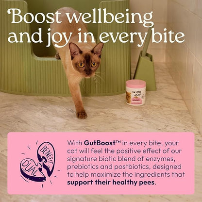 New! WellJoy Cat Supplement Urinary+ GutBoost | Cat Health Supplement | Supports Urinary Tract Health | Dual-Benefit GutBoost Formulation | Vet Formulated | USA Made | Chicken Flavor | 90 Soft Chews