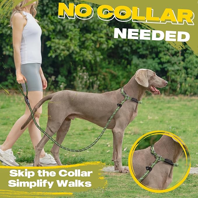Fida Durable Slip Lead, 6 FT x 1/2" Heavy Duty Loop Leash, Comfortable Strong Rope for Large, Medium Dogs, No Pull Pet Training with Highly Reflective, Green